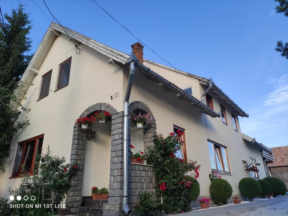 Rita Vendeghaz Daire Ciumani Dış mekan fotoğraf